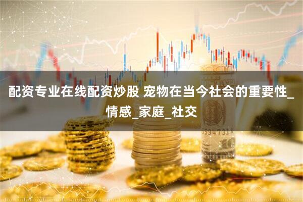配资专业在线配资炒股 宠物在当今社会的重要性_情感_家庭_社交