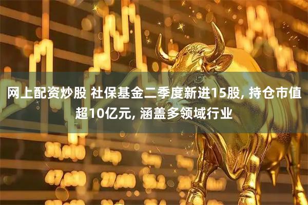 网上配资炒股 社保基金二季度新进15股, 持仓市值超10亿元, 涵盖多领域行业