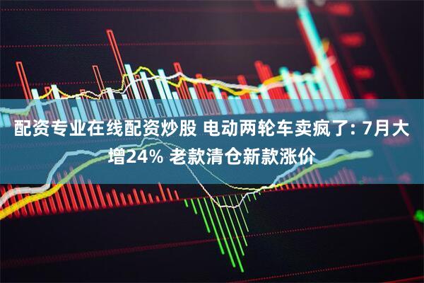 配资专业在线配资炒股 电动两轮车卖疯了: 7月大增24% 老款清仓新款涨价