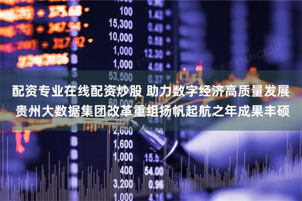 配资专业在线配资炒股 助力数字经济高质量发展 贵州大数据集团改革重组扬帆起航之年成果丰硕